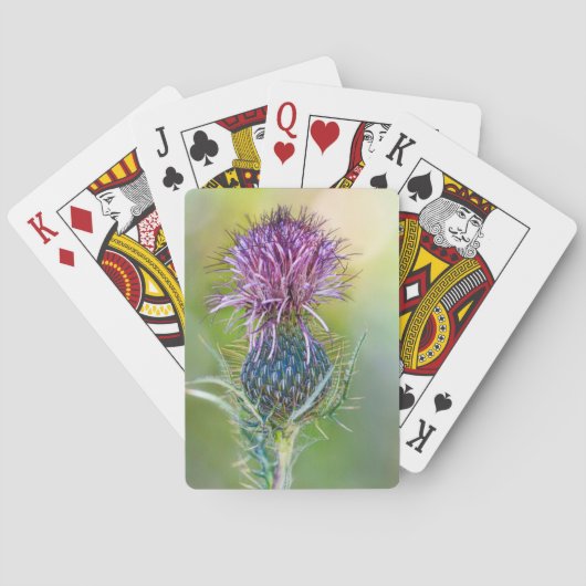 Thistle Flower Kaart (Achterkant)