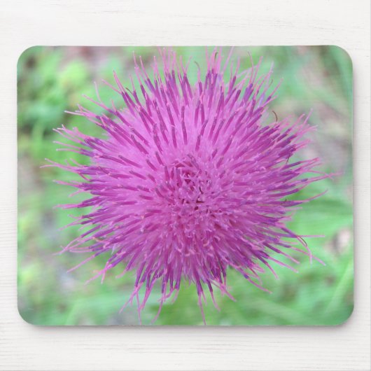 Thistle Flower Muismat (Voorkant)