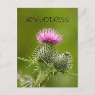 Thistle Flower Nieuw Adres Kaart