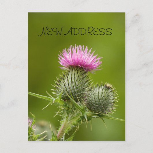 Thistle Flower Nieuw Adres Kaart (Voorkant)