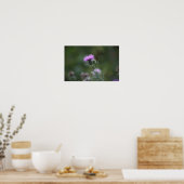 Thistle Flower Poster (Keuken)