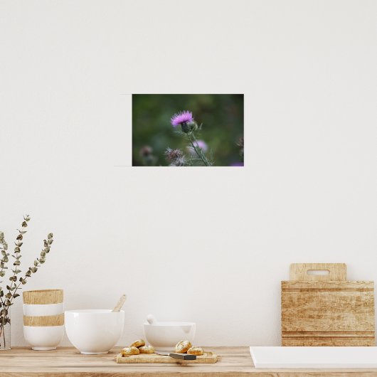 Thistle Flower Poster (Keuken)