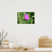 Thistle Flower Poster (Keuken)