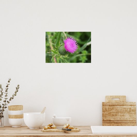 Thistle Flower Poster (Keuken)