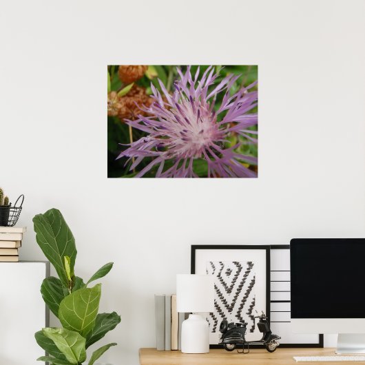 Thistle Flower Poster (Thuiskantoor)