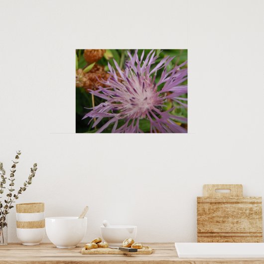 Thistle Flower Poster (Keuken)