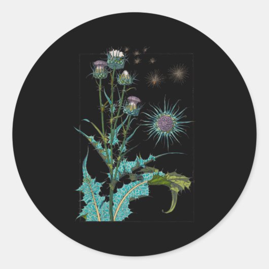 Thistle Flower Schotland Liefde Schotse distel Ronde Sticker (Voorkant)