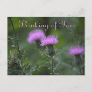 Thistle Flowers Denken aan jou Briefkaart