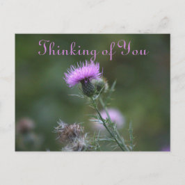 Thistle Flowers Denken aan jou Briefkaart