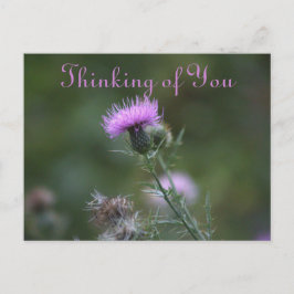 Thistle Flowers Denken aan jou Briefkaart