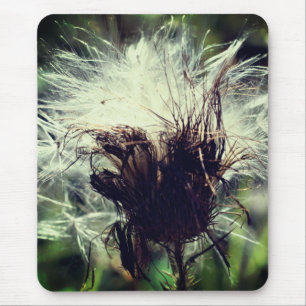 Thistle Fluff Flower Natuur Muismat