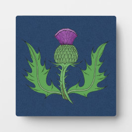 Thistle Fotoplaat