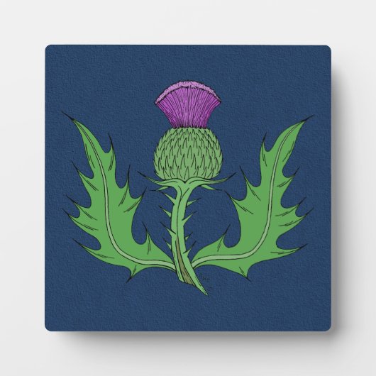 Thistle Fotoplaat (Voorkant)