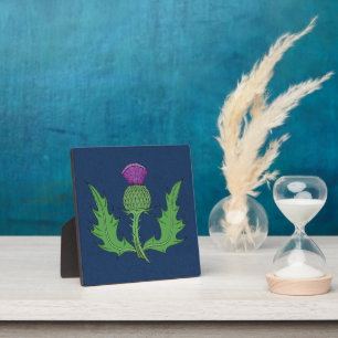 Thistle Fotoplaat
