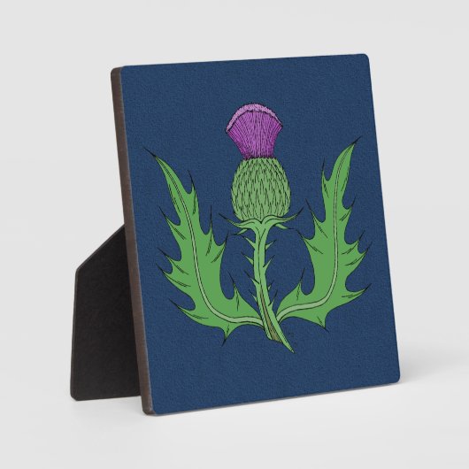 Thistle Fotoplaat (Voorkant)