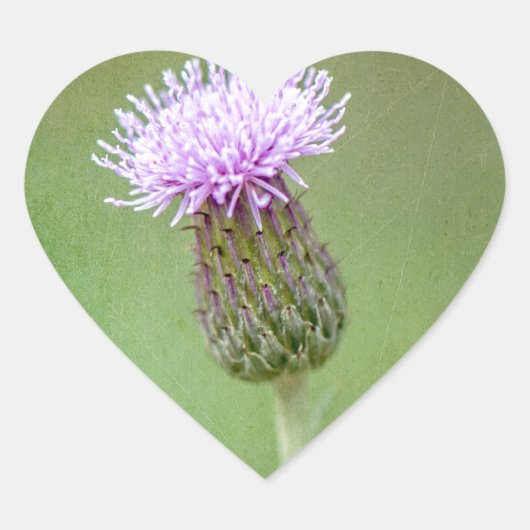 Thistle Hart Sticker (Voorkant)