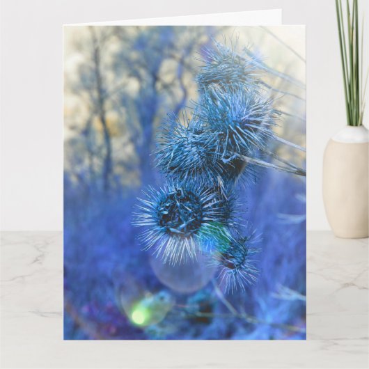 Thistle in Paarse Kaart (Voorkant)