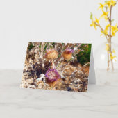 Thistle Kaart (Gele Bloem)