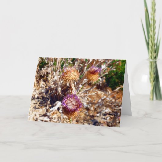 Thistle Kaart (Voorkant)