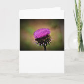 Thistle, kaart (Voorkant)