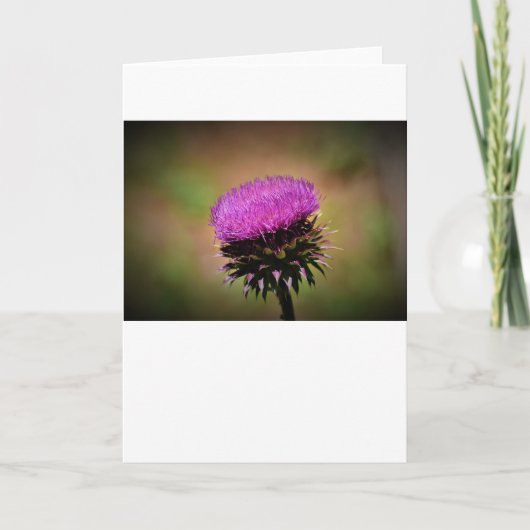 Thistle, kaart (Voorkant)