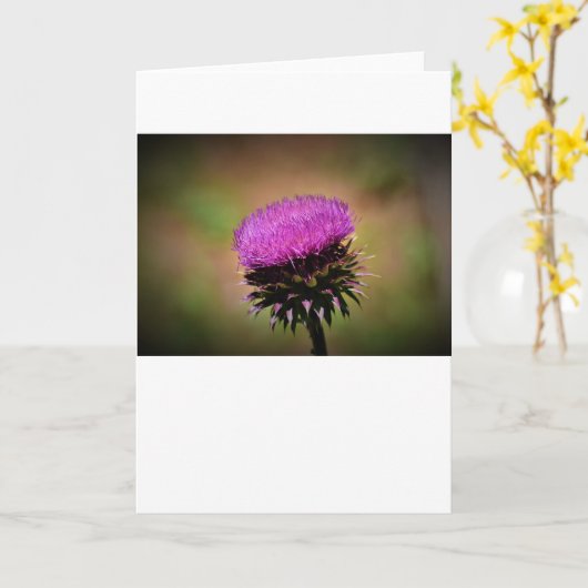 Thistle, kaart (Gele Bloem)