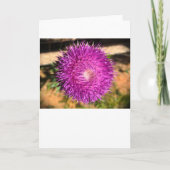 Thistle, kaart (Voorkant)