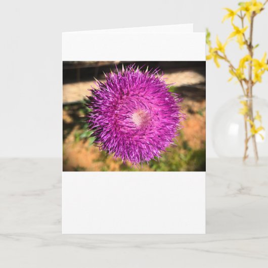 Thistle, kaart (Gele Bloem)