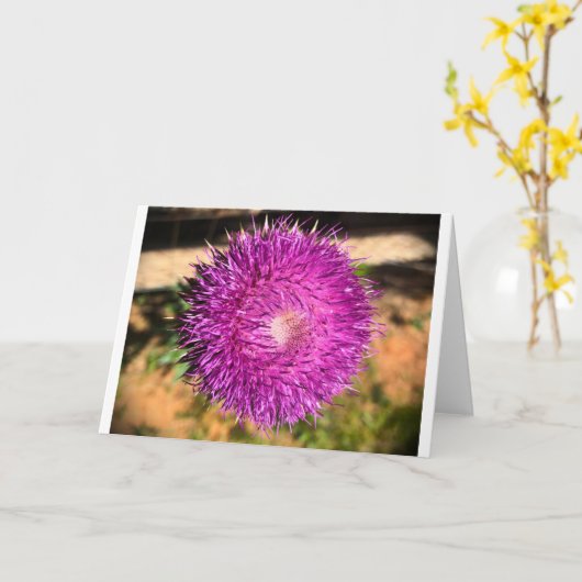 Thistle, kaart (Gele Bloem)