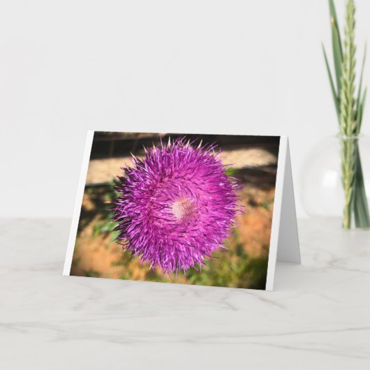 Thistle, kaart (Voorkant)