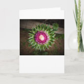 Thistle, kaart (Voorkant)