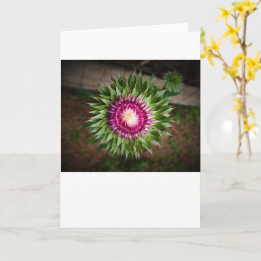 Thistle, kaart (Gele Bloem)