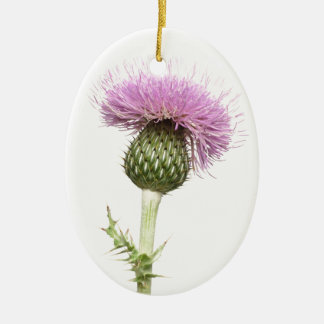 Thistle Keramisch Ornament