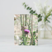 Thistle Love Briefkaart (Staand voorkant)