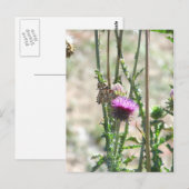 Thistle Love Briefkaart (Voorkant / Achterkant)