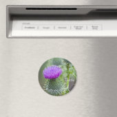 Thistle Magneet (Insitu (Vaatwasser))