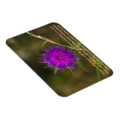 Thistle Magnet w / Schrift vers Magneet (Rechterzijde)