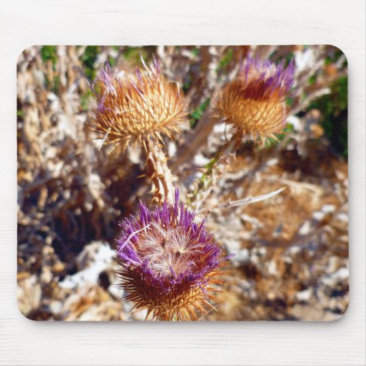 Thistle Muismat (Voorkant)