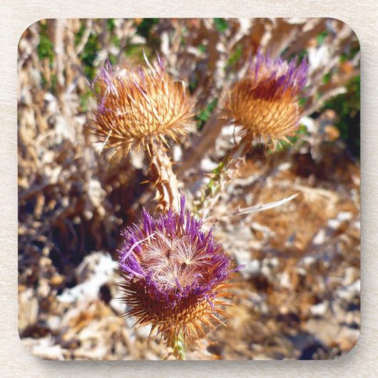 Thistle Onderzetter (Voorkant)