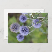 Thistle - Opstaan van de Kroon Briefkaart (Voorkant / Achterkant)