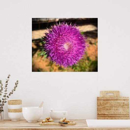 Thistle Poster (Keuken)