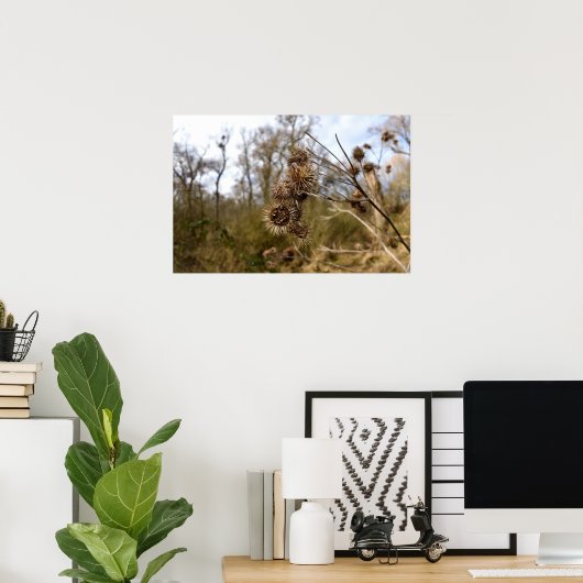 Thistle Poster (Thuiskantoor)