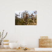 Thistle Poster (Keuken)