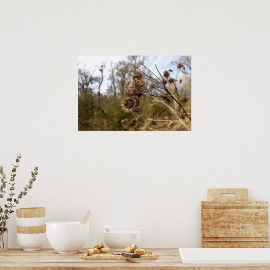 Thistle Poster (Keuken)