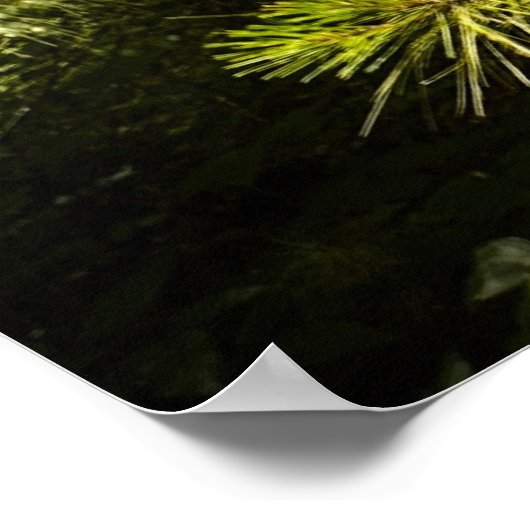 Thistle Poster (Hoek)