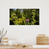 Thistle Poster (Keuken)
