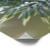 Thistle Poster (Hoek)