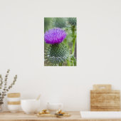 Thistle Poster (Keuken)