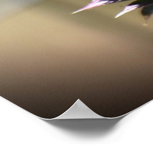 Thistle Poster (Hoek)