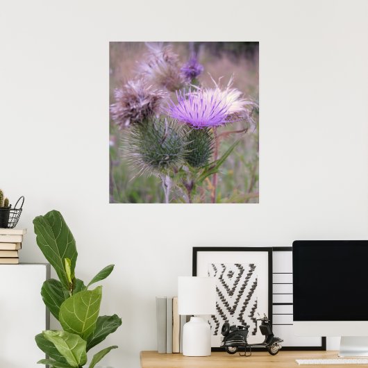 Thistle Poster (Thuiskantoor)